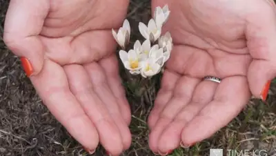 Zakon.kz, фото - Новости Zakon.kz от 04.03.2016 19:03