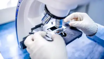 Zakon.kz, фото - Новости Zakon.kz от 09.10.2017 14:58