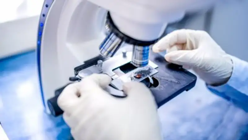 Женскую онкологию связали с бактериальным дисбалансом