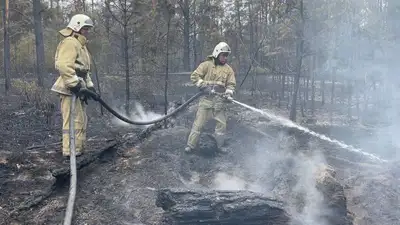Казахстан пожар в Абайской области