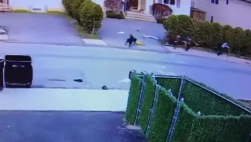 Нападение питбуля на трехлетнего ребенка попало на видео