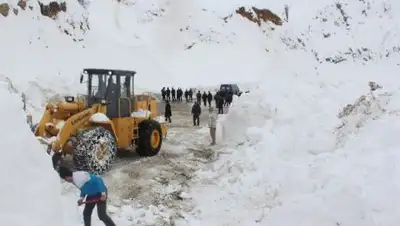 Zakon.kz, фото - Новости Zakon.kz от 30.01.2017 17:04