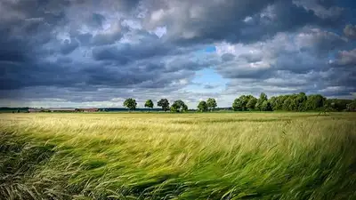 штормовое предупреждение, фото - Новости Zakon.kz от 17.05.2023 19:22