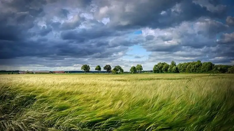Пыльная буря, заморозки, гроза и шквал ожидаются на большей части Казахстана
