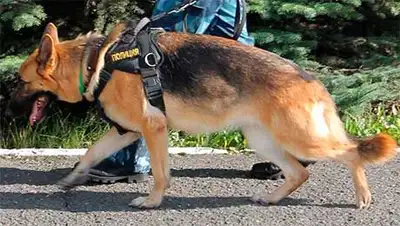 Zakon.kz, фото - Новости Zakon.kz от 05.05.2014 21:45