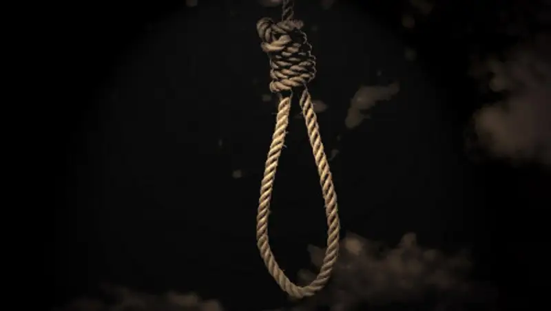 Одиннадцатиклассницу нашли повешенной в сарае