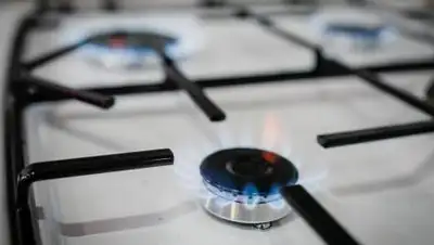 liter.kz, фото - Новости Zakon.kz от 24.11.2020 10:43