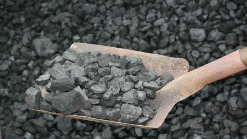 Депутат просит пересмотреть правила биржевой торговли угля