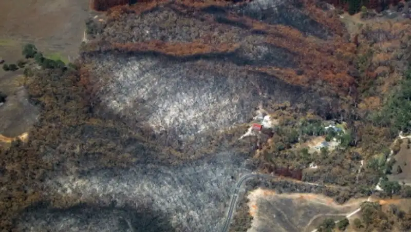 СМИ: власти Австралии эвакуируют несколько городов из-за пожаров