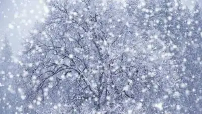 zakon.kz., фото - Новости Zakon.kz от 19.11.2020 06:01