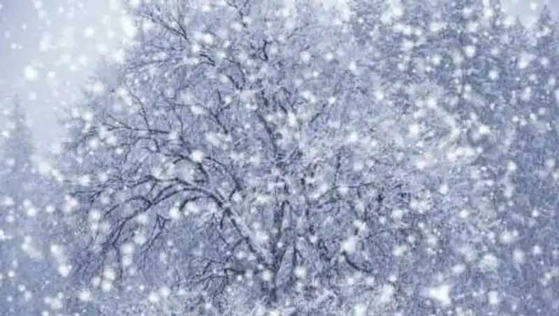 19 ноября на севере и юге Казахстана пройдет снег