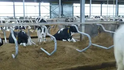 Zakon.kz, фото - Новости Zakon.kz от 24.07.2017 16:15