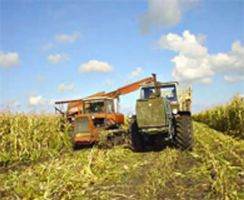 В Карагандинской области выделяются значительные бюджетные средства на поддержку развития сельского хозяйства, фото - Новости Zakon.kz от 02.12.2011 21:14