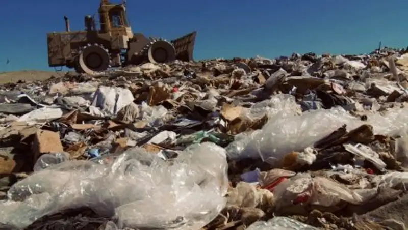 Стихийные свалки и скотомогильники в Павлодаре выявили прокуроры