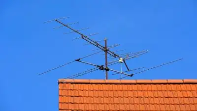 Pixabay, фото - Новости Zakon.kz от 07.11.2020 00:13