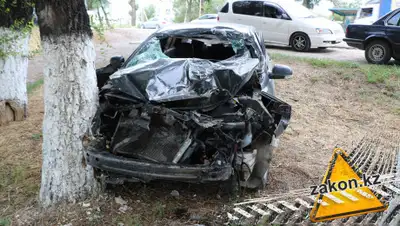 zakon.kz, фото - Новости Zakon.kz от 09.07.2019 17:23