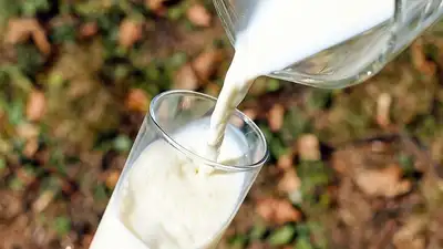 Цельное молоко: кому стоит отказаться 