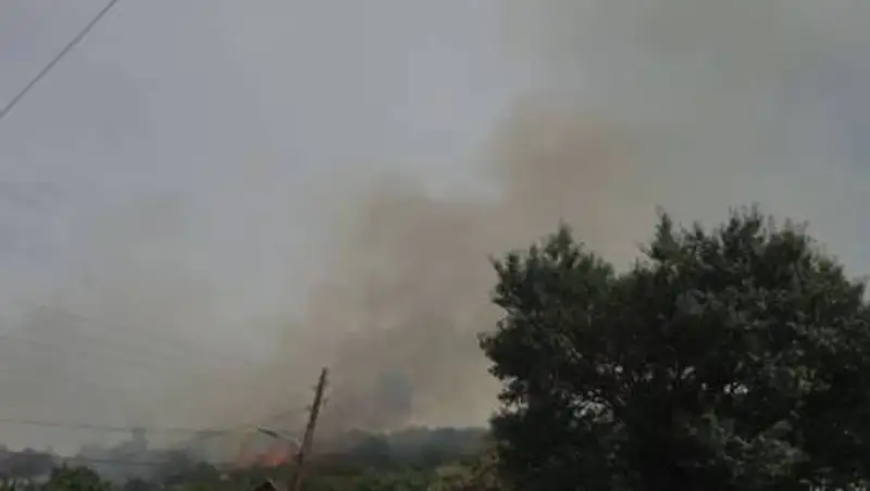 Сухостой горел в Алматы