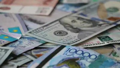 7kun.kz, фото - Новости Zakon.kz от 18.12.2019 10:38