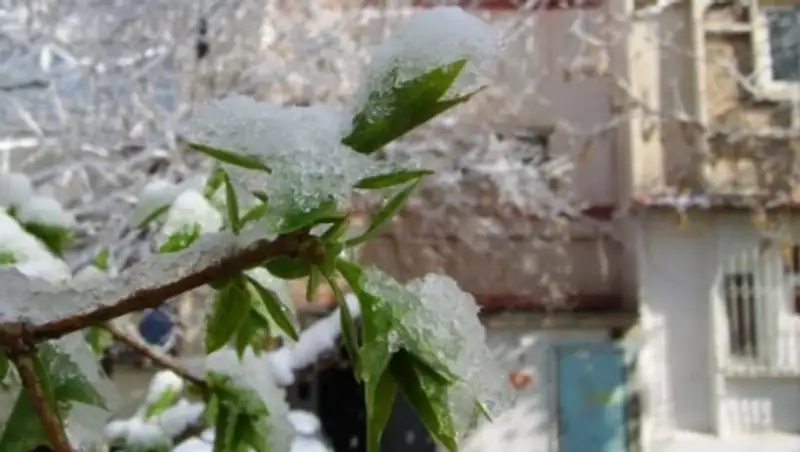Казахстанские синоптики сделали прогноз на предстоящие праздничные дни