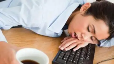 Zakon.kz, фото - Новости Zakon.kz от 20.08.2017 22:48