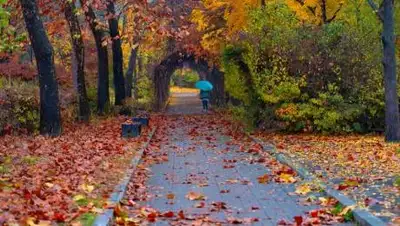 pixabay.com, фото - Новости Zakon.kz от 31.08.2021 16:36