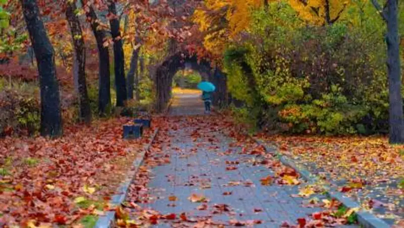 Синоптики рассказали, какой будет погода 1 сентября