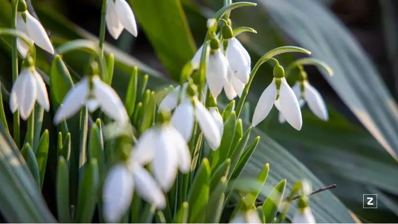 Похолодание ожидается в Казахстане в первые дни весны