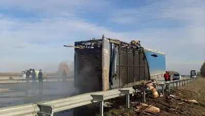 на трассе Нур-Султан - Петропавловск, фото - Новости Zakon.kz от 29.04.2022 20:11