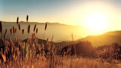 Zakon.kz, фото - Новости Zakon.kz от 17.06.2015 23:54