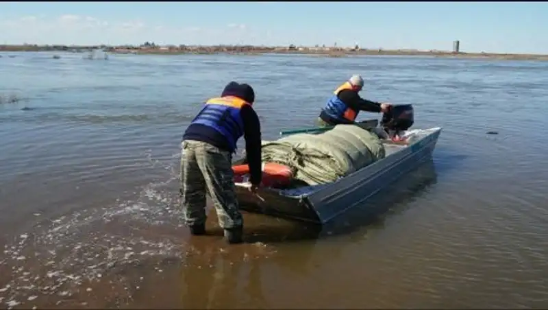 Пропавшую в Алматинской области двухлетнюю девочку обнаружили мертвой