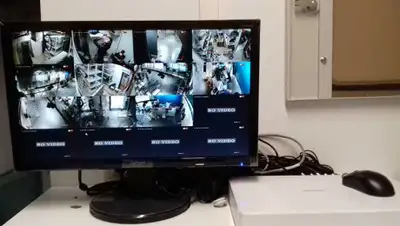 mastersb.ru, фото - Новости Zakon.kz от 01.06.2020 22:27