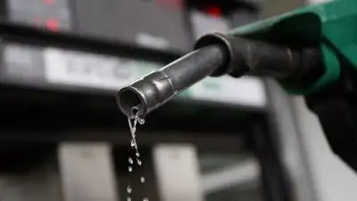 Zakon.kz, фото - Новости Zakon.kz от 05.10.2018 08:18