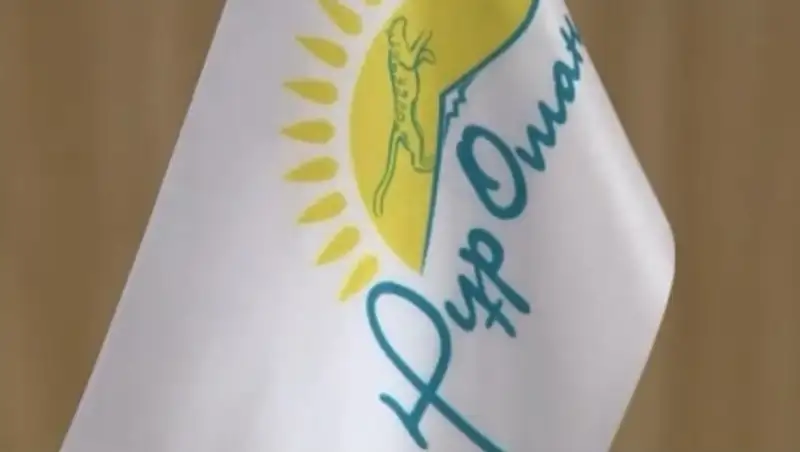 Список добрых дел народной партии «Н&#1201;р Отан»