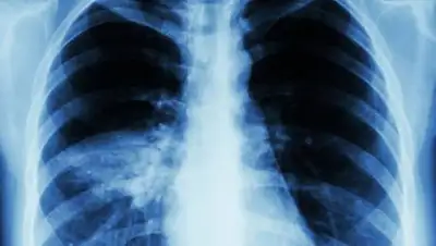 kabar.kg, фото - Новости Zakon.kz от 28.12.2020 09:04