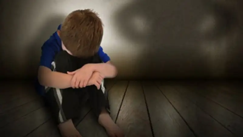 Карагандинская семья, в отношении которой ведется расследование, забрала приемного ребенка