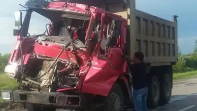 Zakon.kz, фото - Новости Zakon.kz от 12.07.2017 03:49