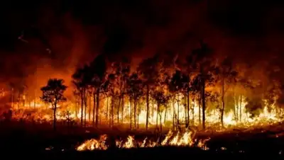 Zakon.kz, фото - Новости Zakon.kz от 25.06.2015 13:45