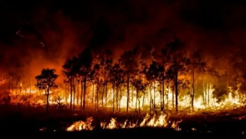 Около тысячи человек эвакуированы в Калифорнии из-за пожаров