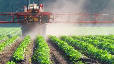 agroxxi.ru, фото - Новости Zakon.kz от 24.10.2018 10:47