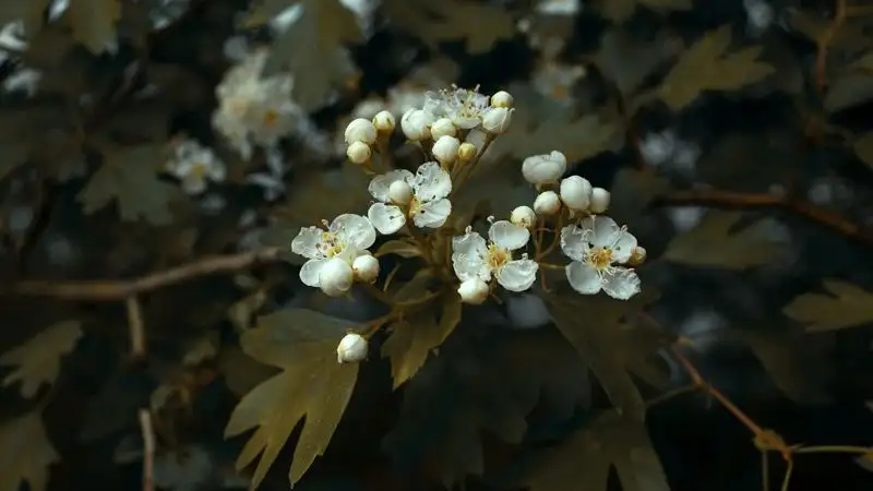 Гороскоп для всех знаков зодиака на 17 сентября