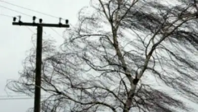 inform.zp.ua, фото - Новости Zakon.kz от 23.05.2018 00:09