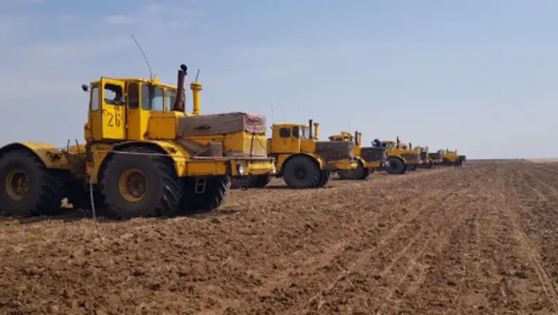 Посевная площадь в Павлодарской области составит почти 1,4 млн гектаров