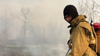 Со спутника отслеживают места лесных пожаров в ЗКО , фото - Новости Zakon.kz от 03.05.2023 05:55