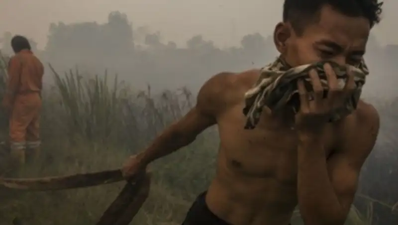 В Малайзии на два дня закрыли школы из-за токсичного дыма