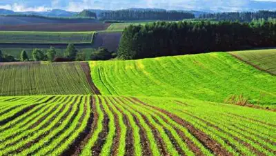 ia-centr.ru, фото - Новости Zakon.kz от 15.03.2021 18:35