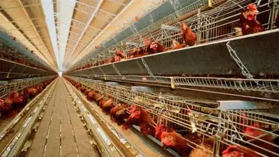 Zakon.kz, фото - Новости Zakon.kz от 09.10.2014 15:23