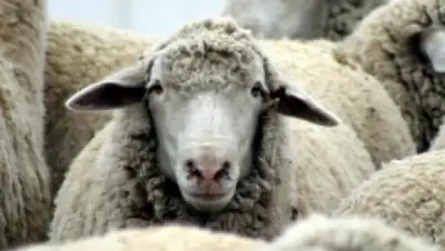 Zakon.kz, фото - Новости Zakon.kz от 18.08.2015 00:09