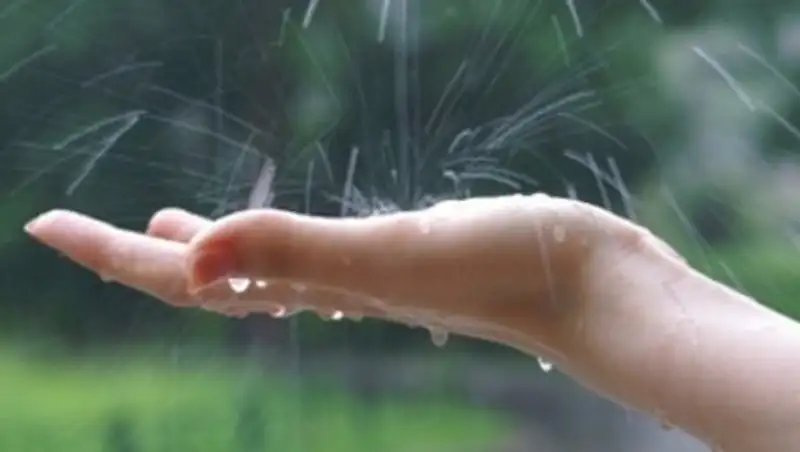 Синоптики в среду обещают ветер и дожди 