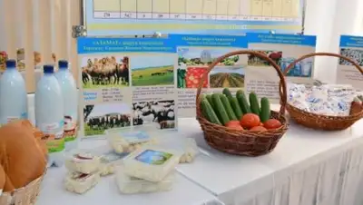 Zakon.kz, фото - Новости Zakon.kz от 29.03.2016 19:35